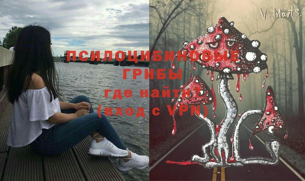 тгк Нея