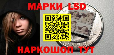 крисы Гагарин