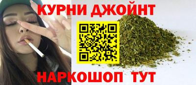 крисы Гагарин
