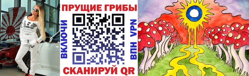 Псилоцибиновые грибы мухоморы  купить наркотики цена  Кизилюрт 