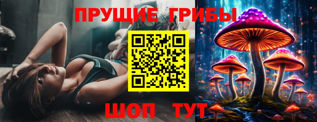 Кизилюрт  Галлюциногенные грибы Psilocybe  Вход с VPN  Псилоцибиновые грибы Psilocybe 
