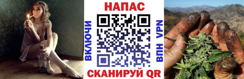 Каннабис планчик  маркетплейс какой сайт  Кизилюрт 